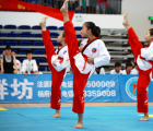 2015年浙江省大众跆拳道公开赛温州市分区赛降下帷幕
