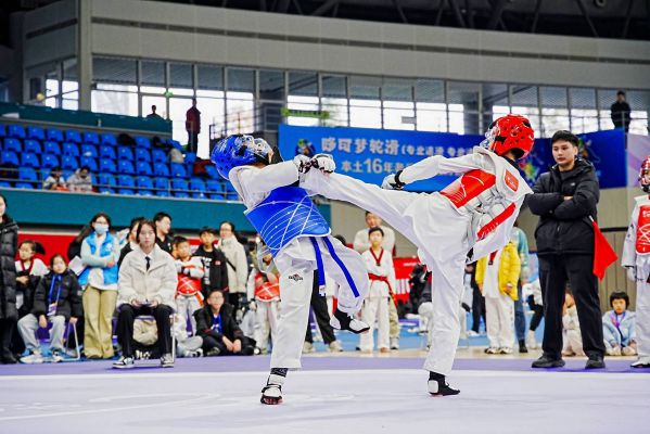 dsc03661-opq4190873793